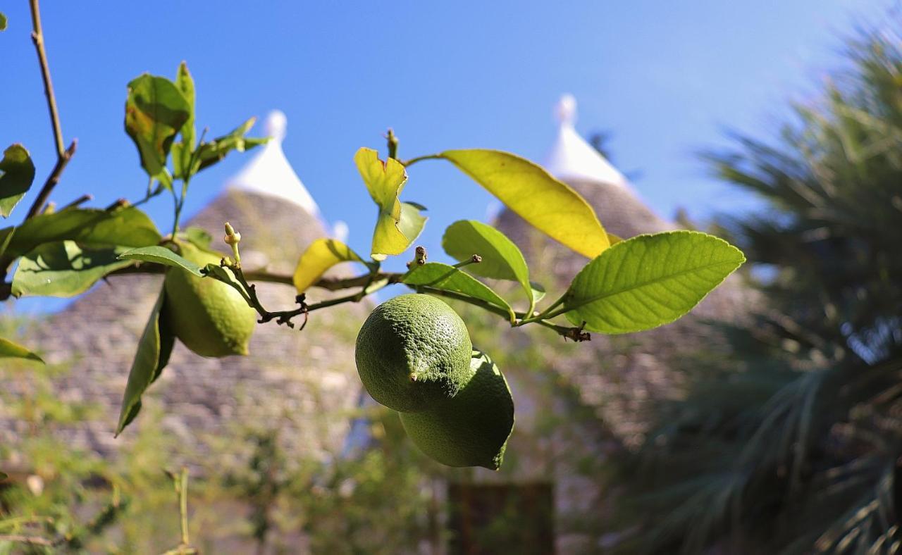 Trulli And Nature Antonelli Dış mekan fotoğraf