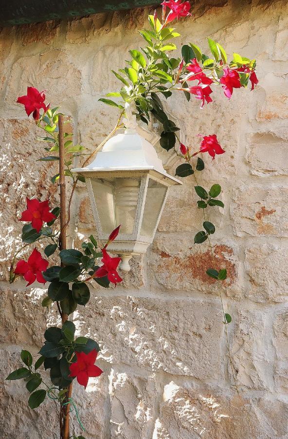 Trulli And Nature Antonelli Dış mekan fotoğraf