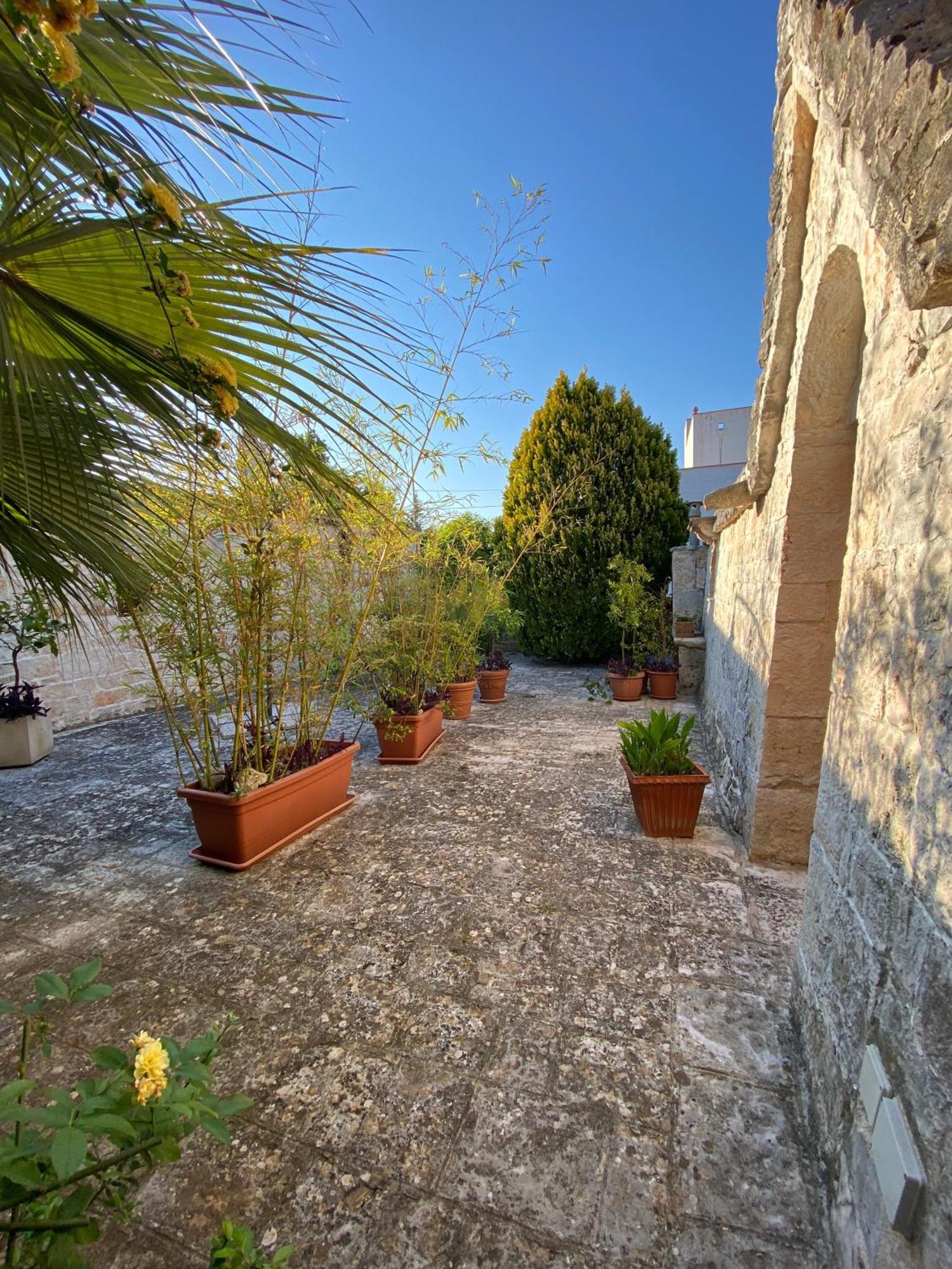 Trulli And Nature Antonelli Oda fotoğraf