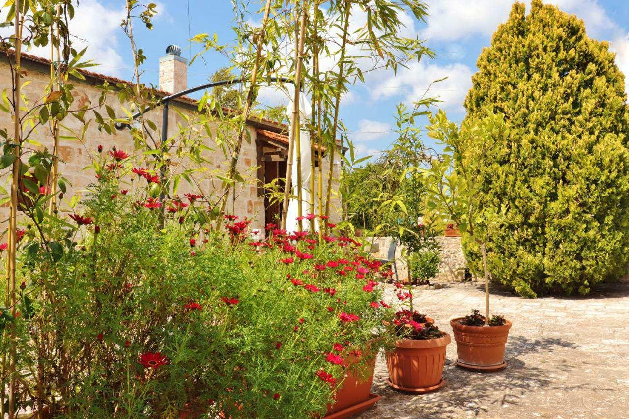 Trulli And Nature Antonelli Oda fotoğraf