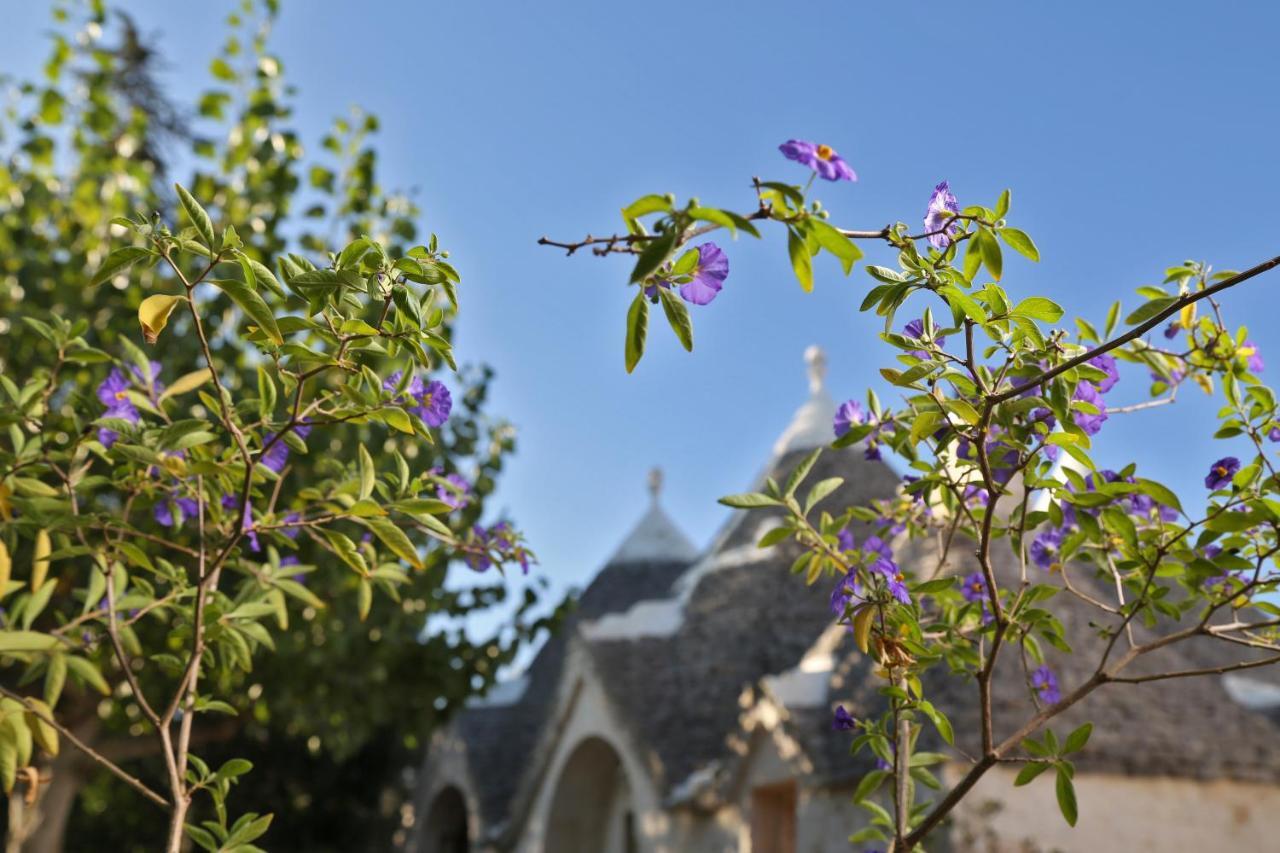 Trulli And Nature Antonelli Dış mekan fotoğraf
