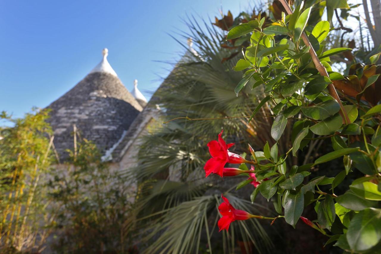Trulli And Nature Antonelli Dış mekan fotoğraf